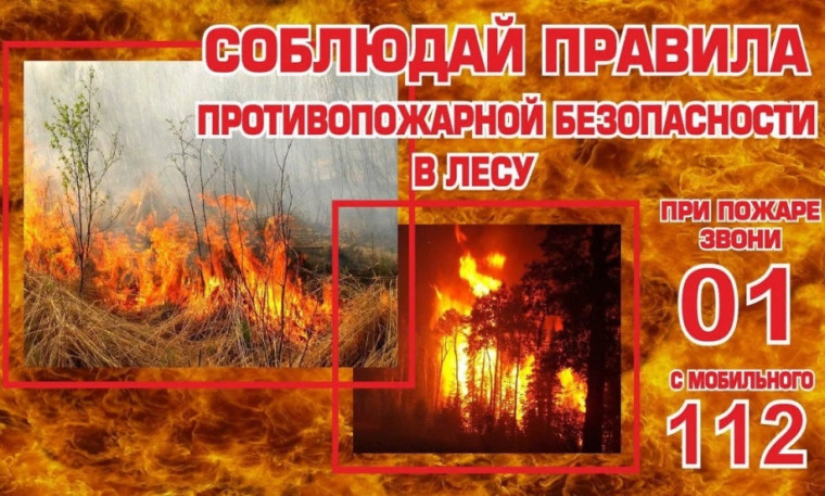 Пожарная безопасность в лесу..